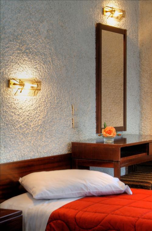 Hotel Zeus デルポイ 部屋 写真